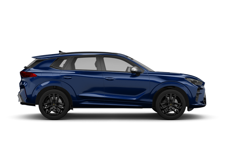 Cupra Terramar – Beispielbild vom Anbieter